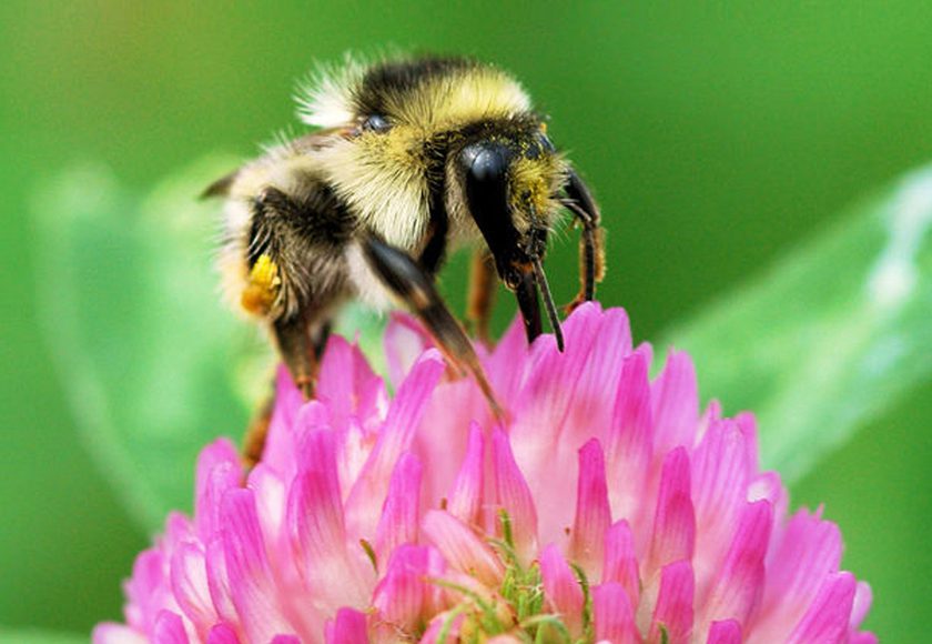 A Million Tiny Glitches By Sleepdogs Photographer Jack Offord