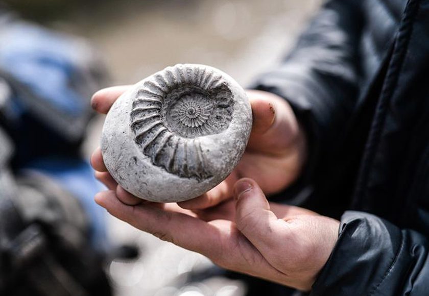 A Million Tiny Glitches By Sleepdogs Photographer Jack Offord