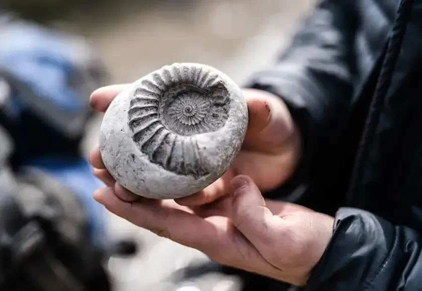 A Million Tiny Glitches By Sleepdogs Photographer Jack Offord