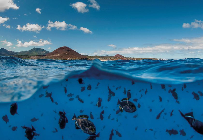 A Million Tiny Glitches By Sleepdogs Photographer Jack Offord