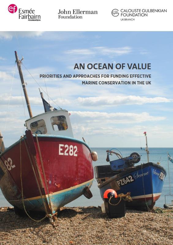 An Ocean Of Value 001