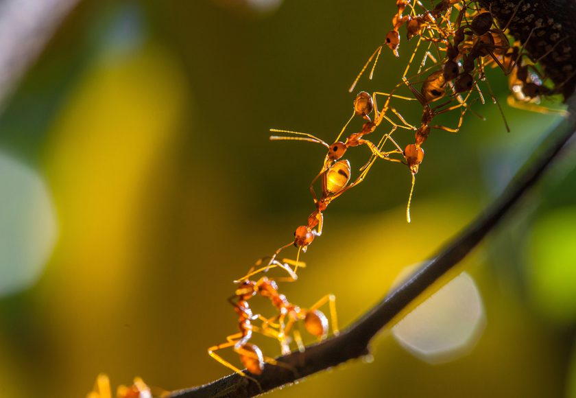 A Million Tiny Glitches By Sleepdogs Photographer Jack Offord