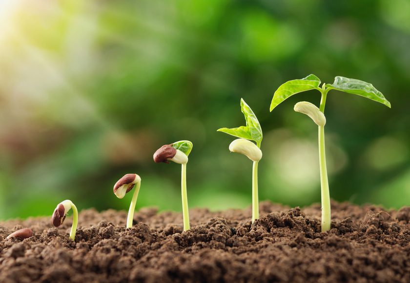 A Million Tiny Glitches By Sleepdogs Photographer Jack Offord